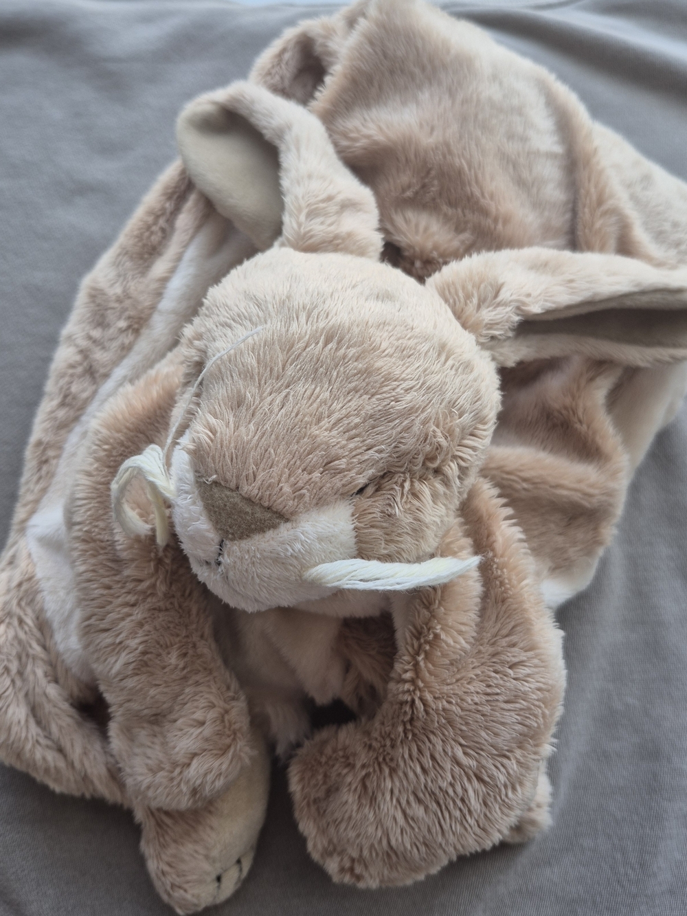 Cramp BUNNY